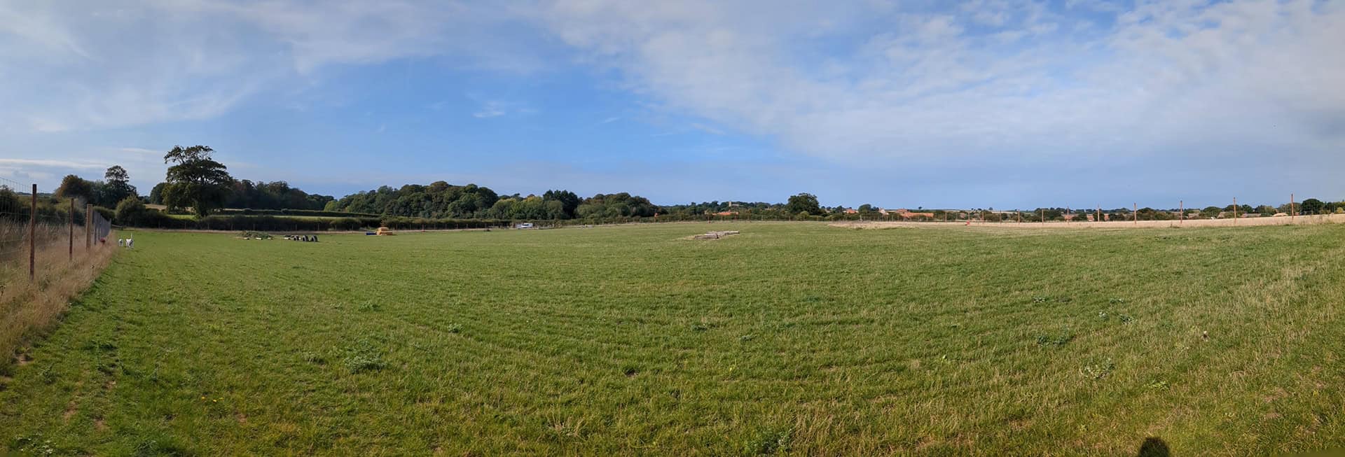 All Dogs Meadow Ringfield Secure Dog Field Paddock Panorama