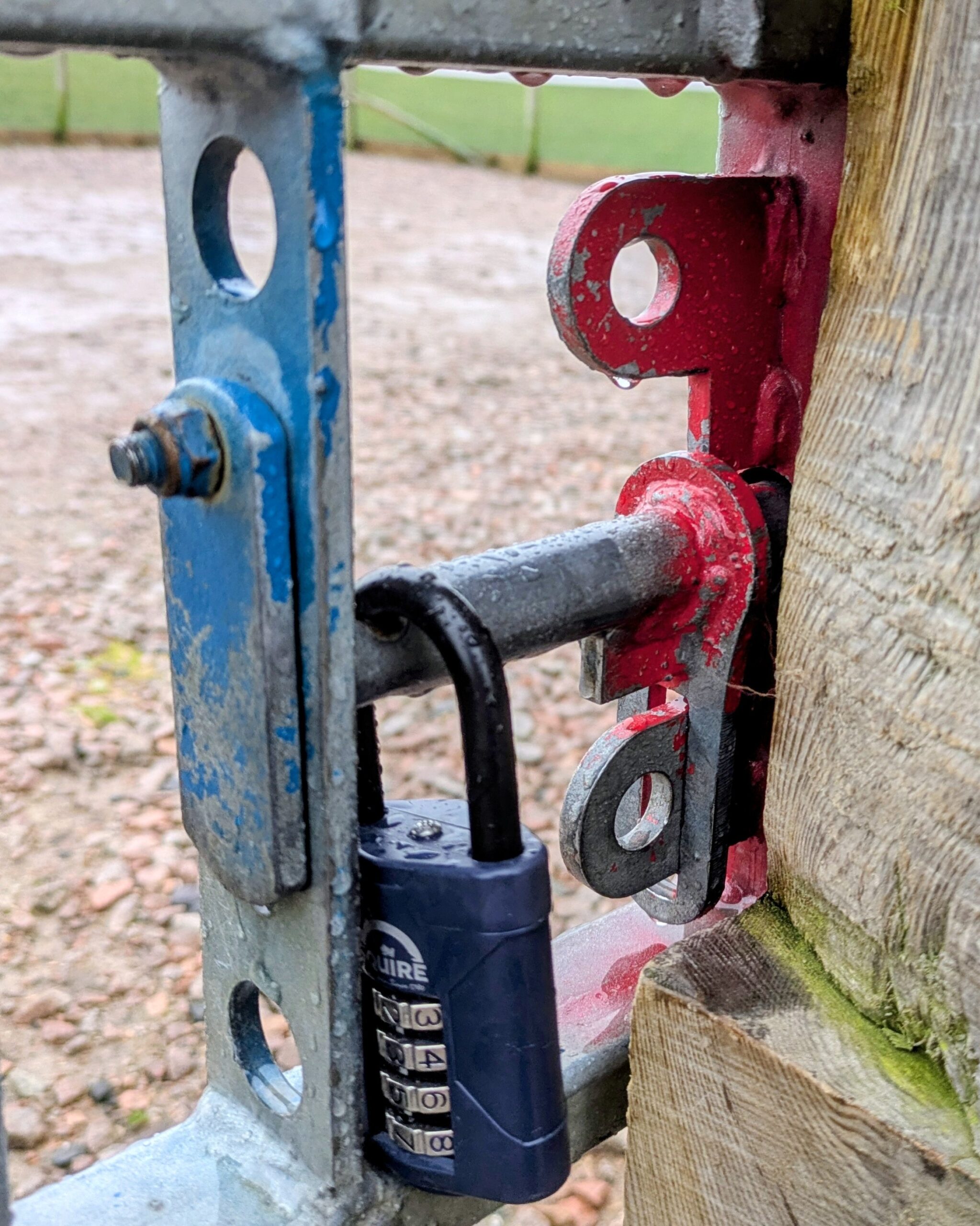 AllDogs Meadow padlock