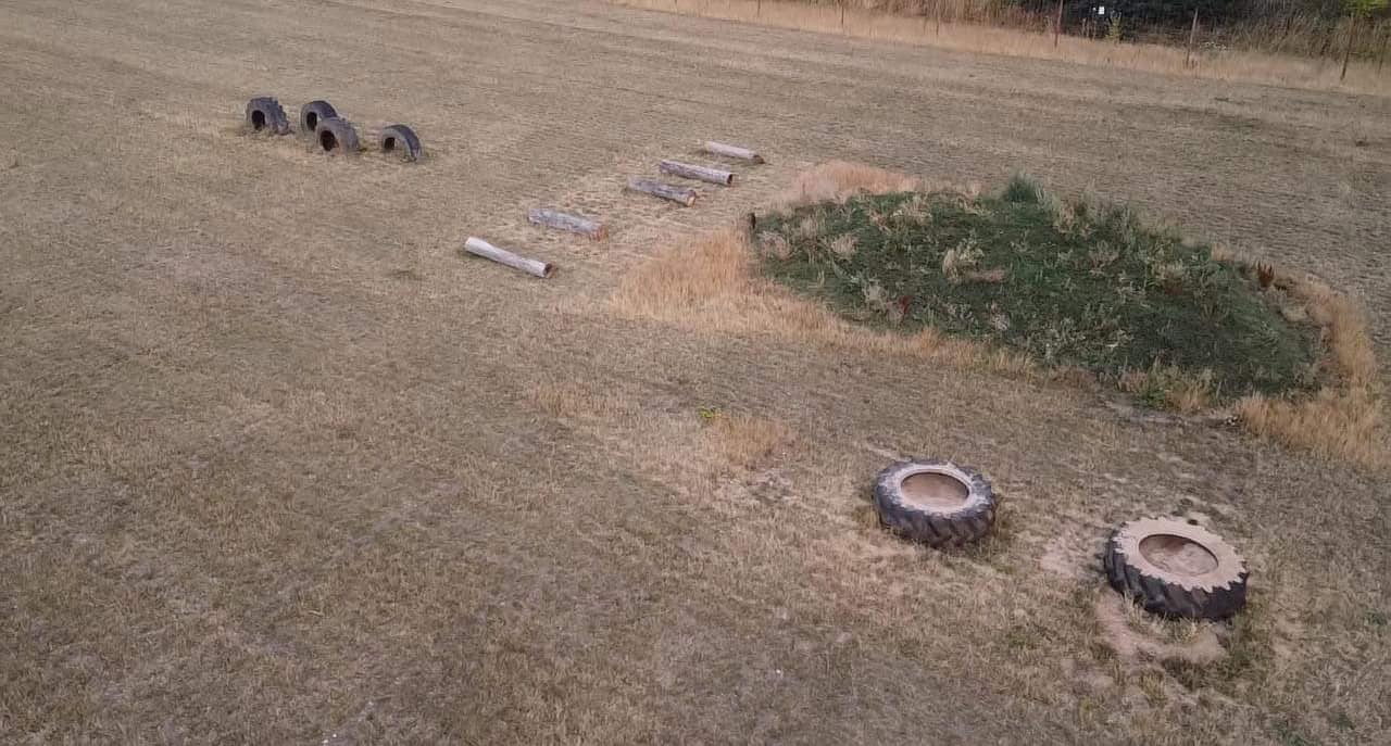 AllDogs Meadow play equipment